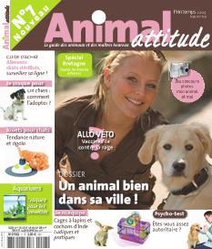 <strong>Animal attitude - Trimestriel :</strong><br />4 numéros par an. Un magazine généraliste abordant chien, chat, oiseaux, chevaux, NAC et pour une fois l\'aquariophilie est présente, ce qui n\'est généralement pas le cas dans ce type de magazine. Ici pas de petites annonces, pas de page adoptions, le mag se veut informatif : le guide des animaux et des maître heureux.