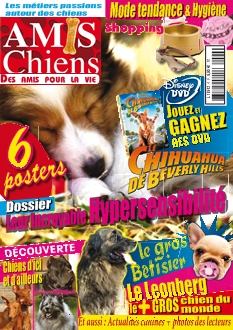 <strong>Amis Chiens - Bimestriel :</strong><br />L\'officiel de tous les amoureux des chiens grands et petits.